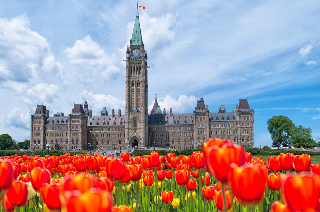 Campo di tulipani rossi e gialli vicino all'edificio del Parlamento canadese - Canadian Tulip Festival