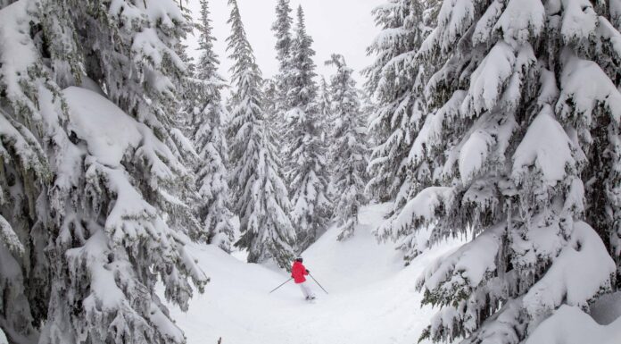 Il miglior sci in Oregon: Mt. Hood Vs Mt. Bachelor è meglio?

