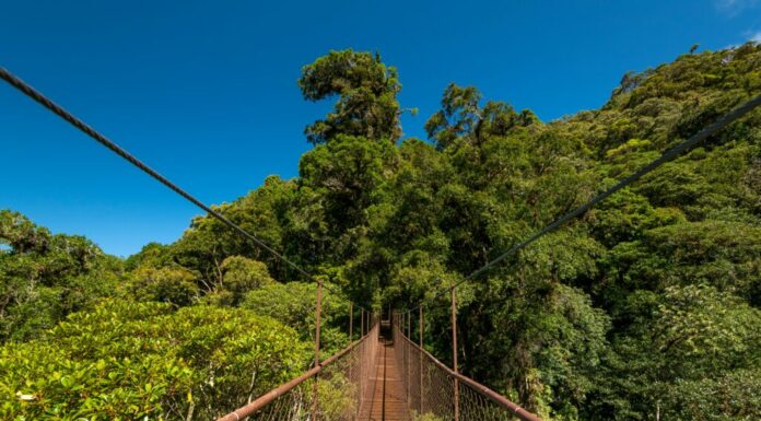 10 bellissimi parchi nazionali a Panama
