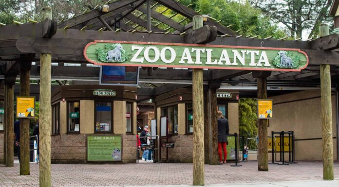 Scopri i 6 migliori zoo della Georgia (e il momento ideale per visitarli)
