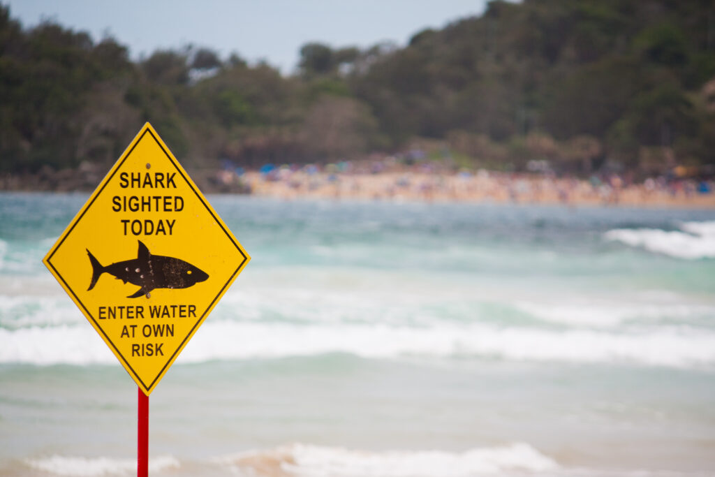Un cartello sulla spiaggia di Manly in Australia avverte di un avvistamento di squali