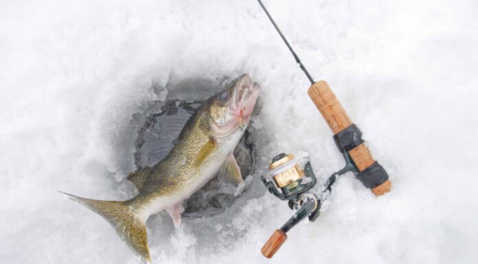 I 6 migliori laghi per la pesca sul ghiaccio in Iowa
