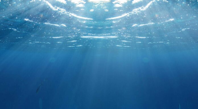Quanto è profondo il Mar Rosso?
