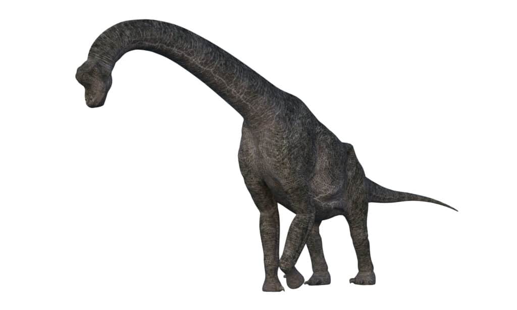 Rendering 3D di un brachiosauro