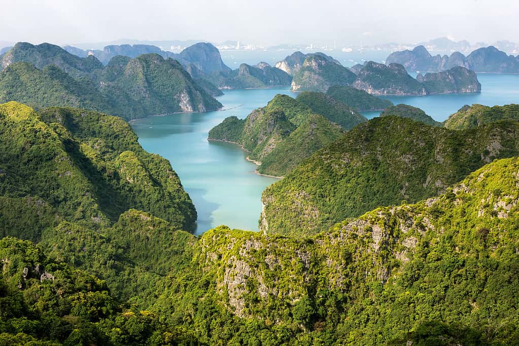 Parco nazionale di Cat Ba, Vietnam