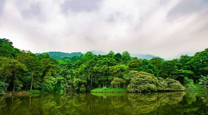 10 bellissimi parchi nazionali in Vietnam
