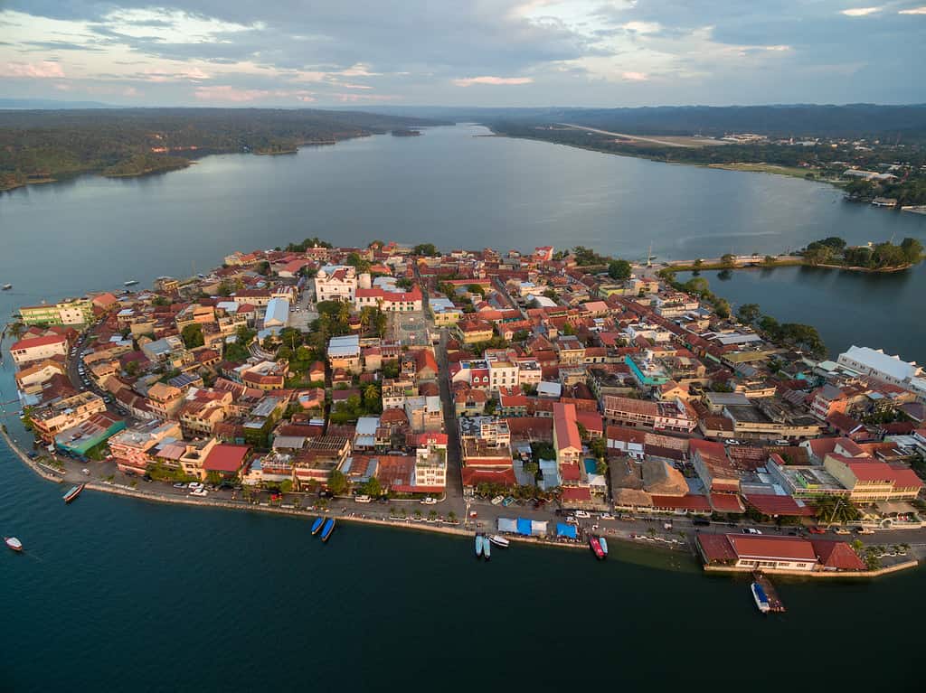 Fiori, Guatemala