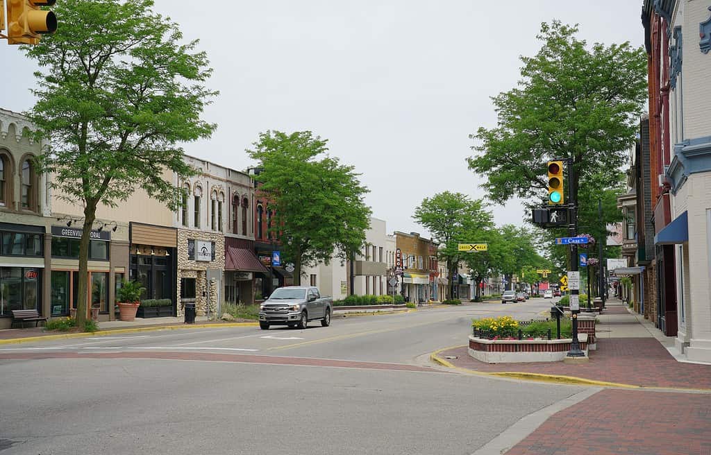 Una strada alberata a Greenville, Michigan