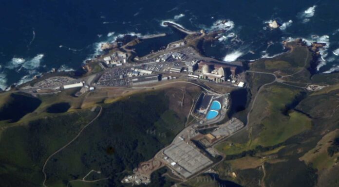 Scopri la più grande centrale nucleare della California (e ciò che vive intorno ad essa)
