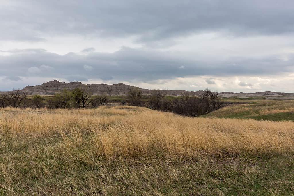 Vista panoramica del Parco nazionale Badlands vicino a Sage Creek.