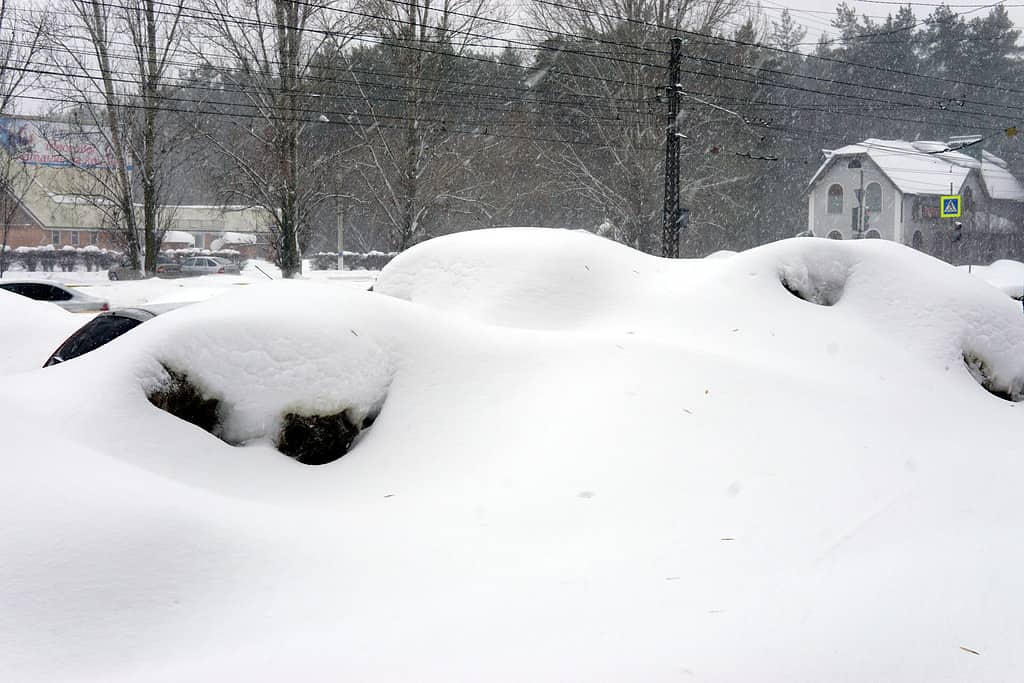 Forte nevicata in Virginia