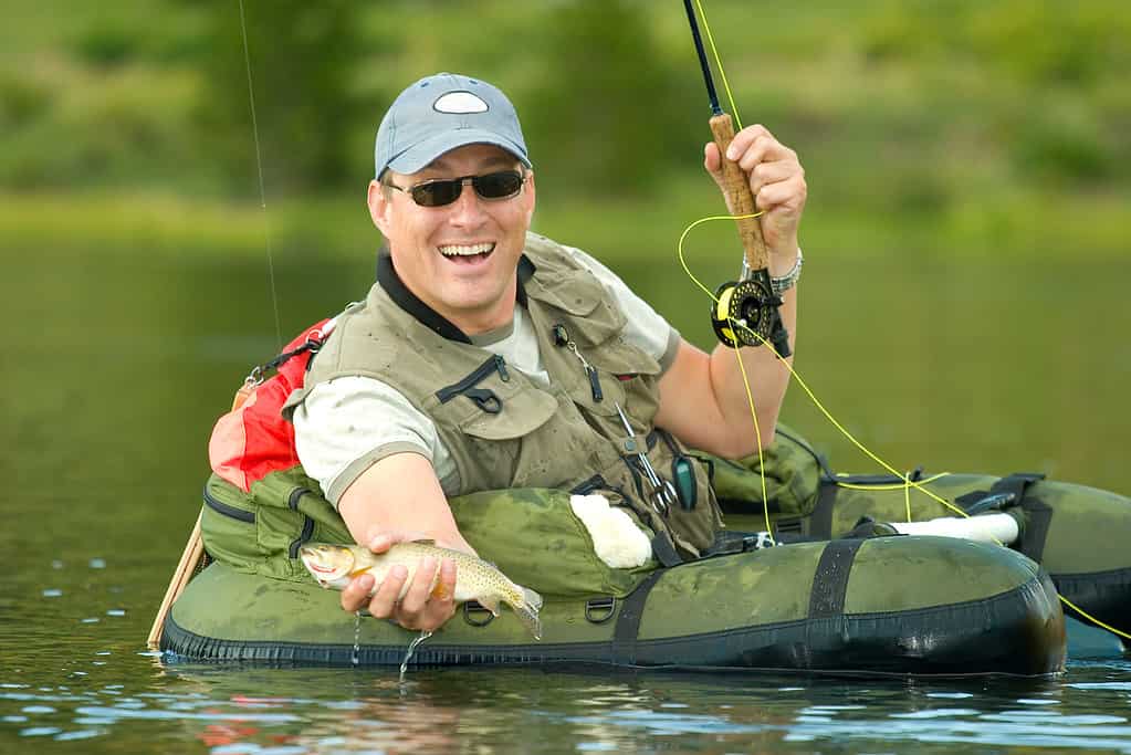 L'uomo pesca con la mosca la trota spietata Greenback in Colorado.