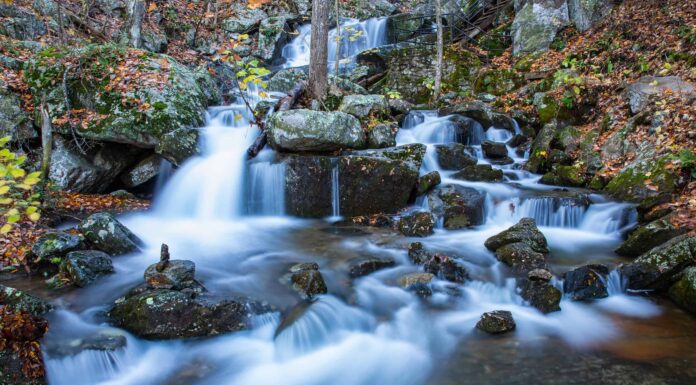 La cascata più alta della Virginia è uno spettacolo a cascata
