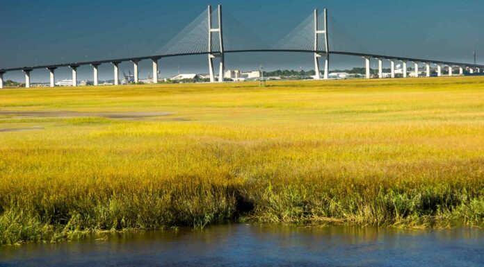 Scopri il ponte più lungo della Georgia: un mostro di 7.780 piedi
