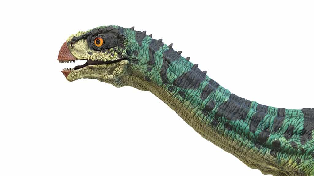 I paleontologi classificano il Chilesaurus come un erbivoro