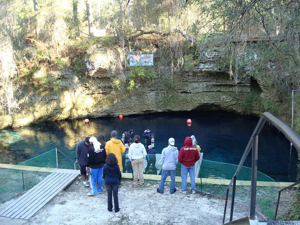 Grotta Azzurra a Williston, Florida