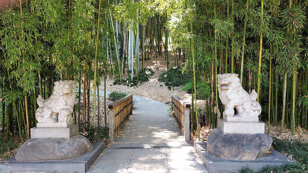 Biblioteca di Huntington e giardini botanici in California