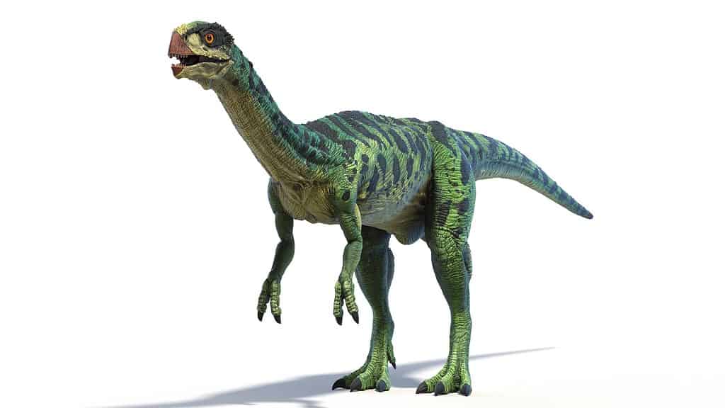 Il dinosauro Chilesaurus diegosauezi camminava su due gambe