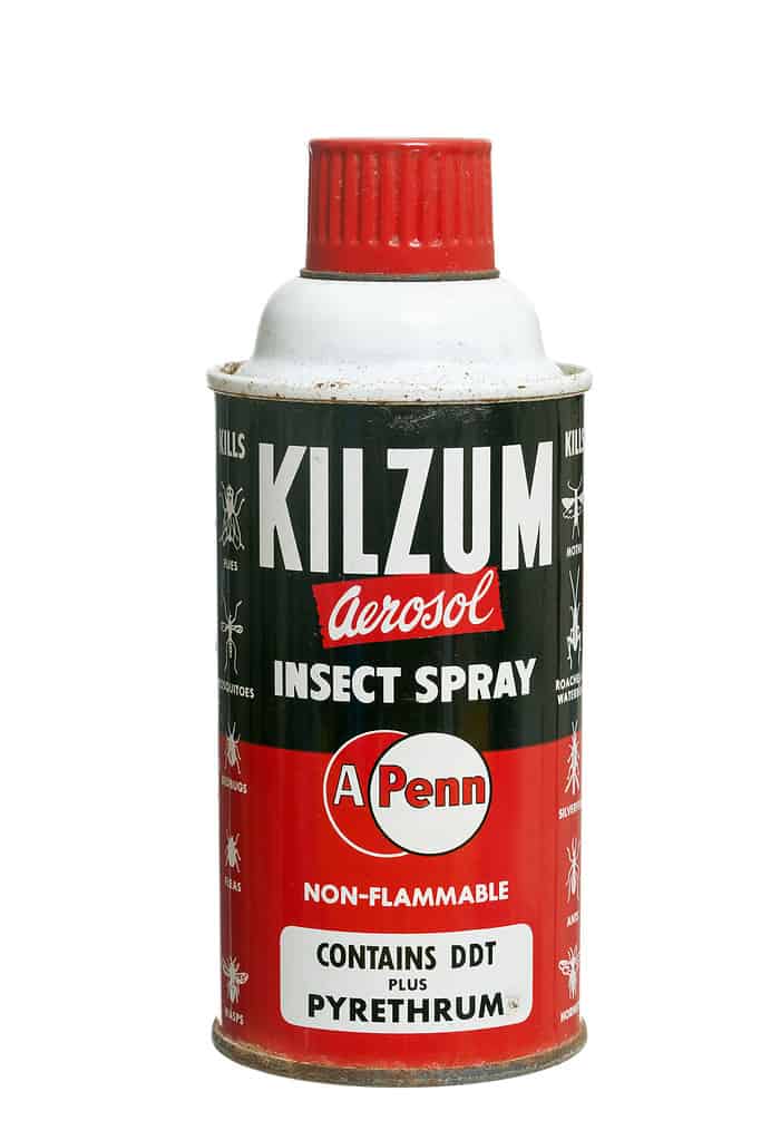 Chattanooga, USA - 5 luglio 2011: Una lattina di spray per insetti aerosol Kilzum che contiene DichloroDiphenylTrichloroethane, comunemente noto come DDT.  Il DDT, un insetticida un tempo popolare, è stato vietato negli Stati Uniti nel 1972 e successivamente vietato per uso agricolo in tutto il mondo.