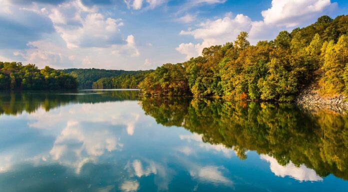 I 5 migliori laghi del Maryland per nuotare
