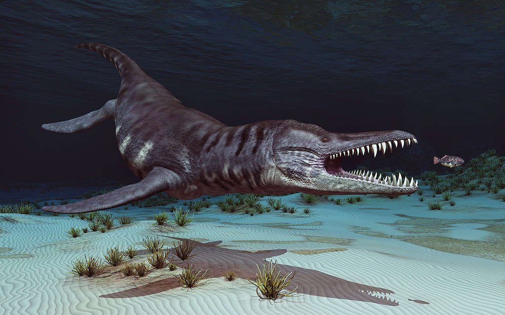 Rettile marino preistorico Liopleurodon