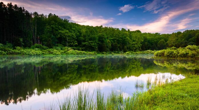 Qual è il lago artificiale più grande del New Jersey? 
