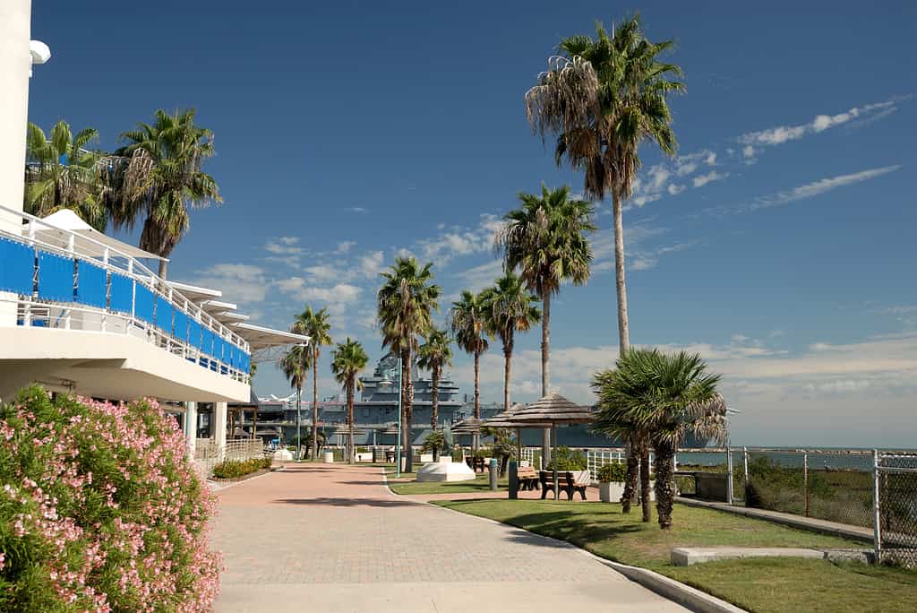 Esterno dell'edificio del Texas State Aquarium