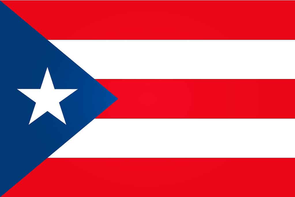 Bandiera di Porto Rico