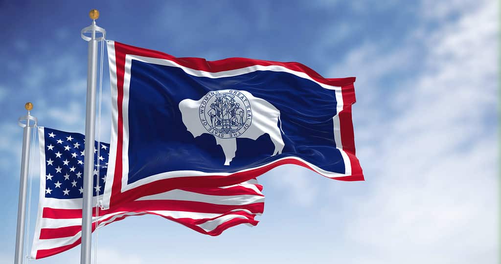 Bandiera dello stato del Wyoming con la bandiera americana che sventola dietro di essa