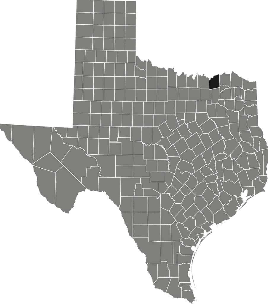 Mappa della posizione dell'illustrazione delle azione della contea di Fannin del Texas, USA