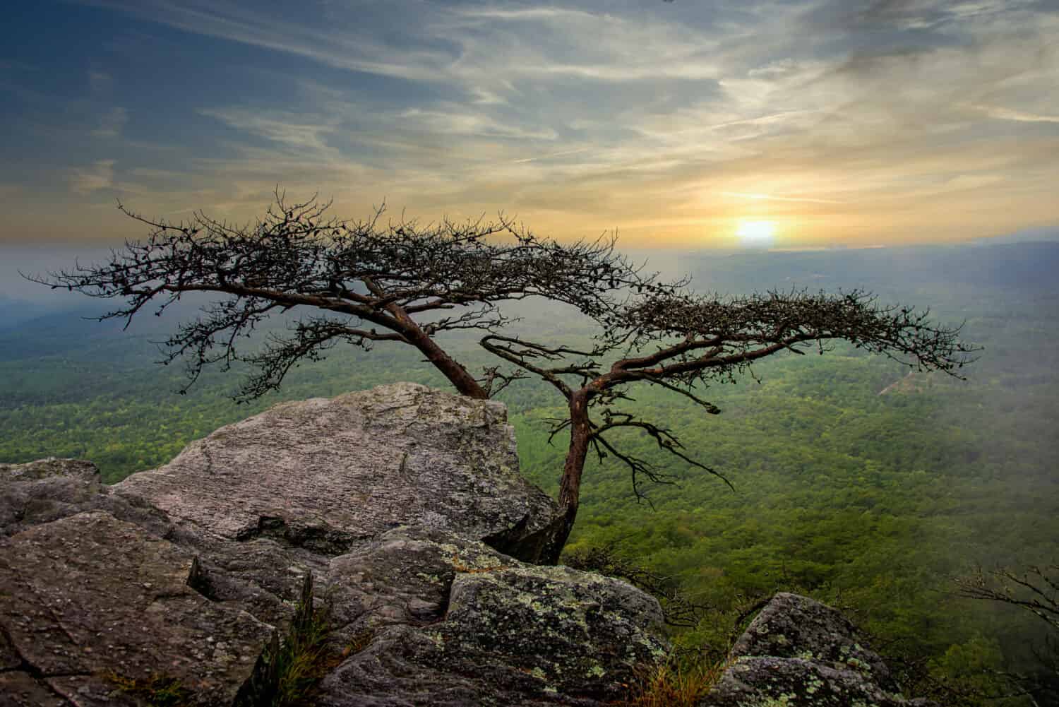 Alba al Cheaha State Park, Talladega National Forest, Alabama, Stati Uniti