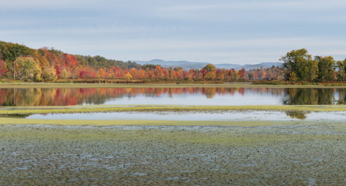 October Mountain State Forest in Washington, Massachusetts