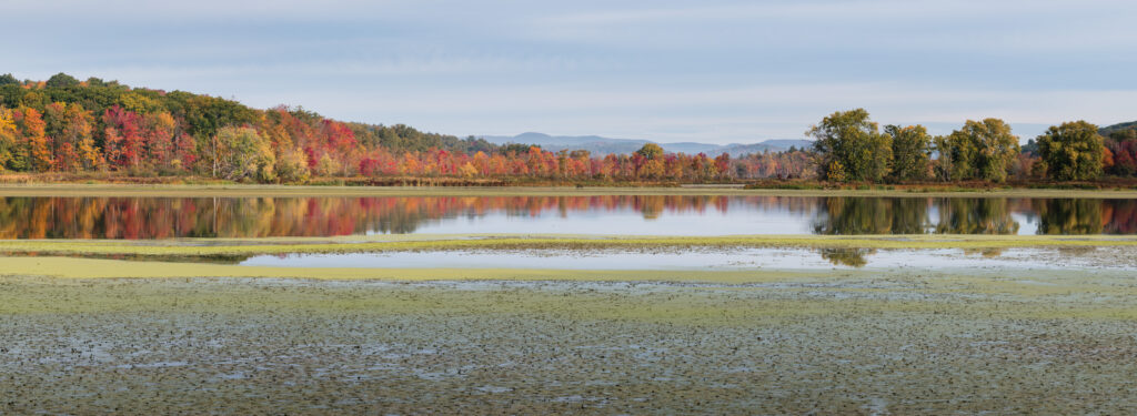 Ottobre Mountain State Forest a Washington, Massachusetts