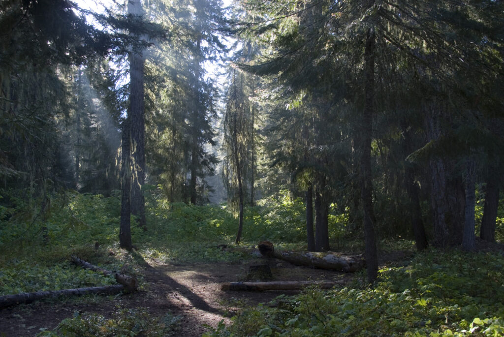 Foresta nazionale di Okanogan-Wenatchee