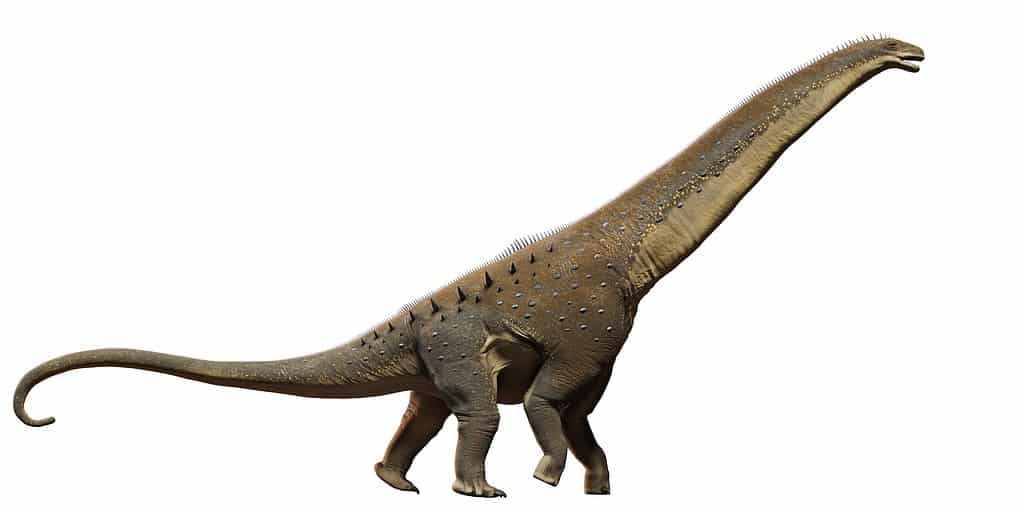 Dinosauro titanosauro