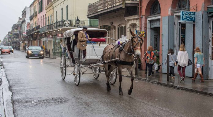 Scopri il luogo più piovoso della Louisiana
