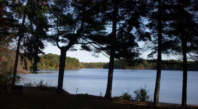 I 5 migliori laghi del Massachusetts per nuotare
