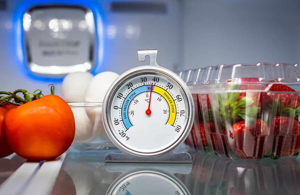 Termometro da frigorifero con alimenti colorati in celle frigorifere.  Indicatore di sicurezza per la refrigerazione che mostra la temperatura sicura degli alimenti.