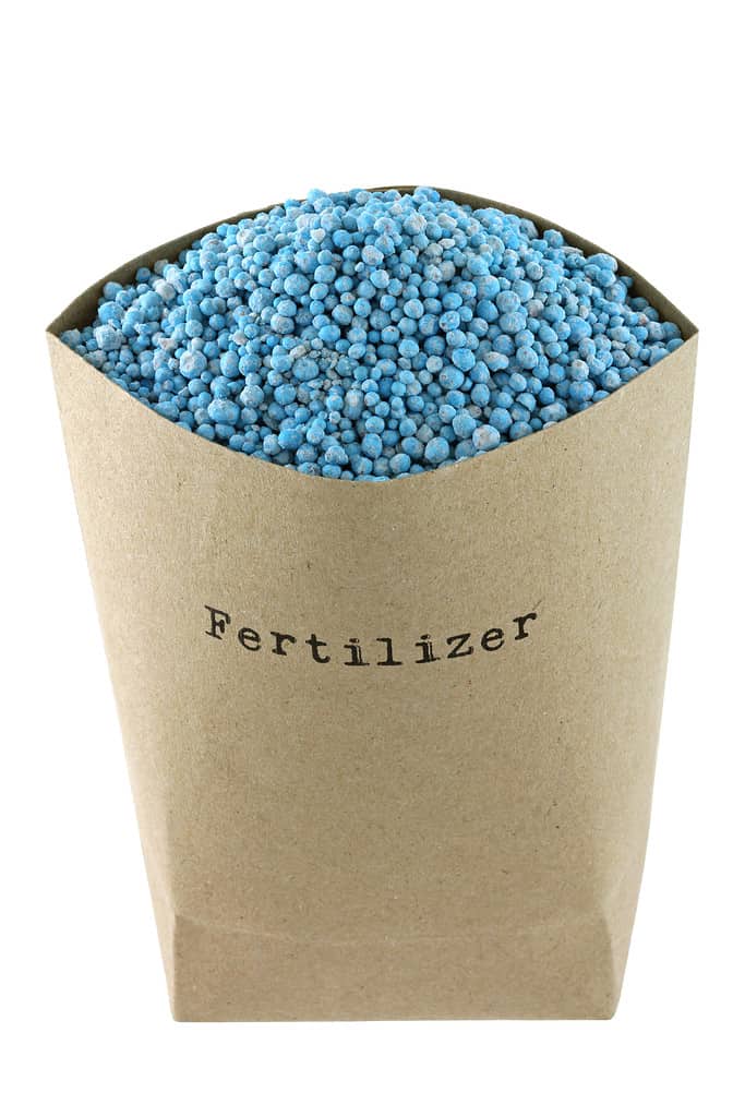 Sacchetto di carta marrone pieno di fertilizzante chimico composto blu NPK isolato su sfondo bianco.  NPK sono Azoto, Fosfato, Potassa