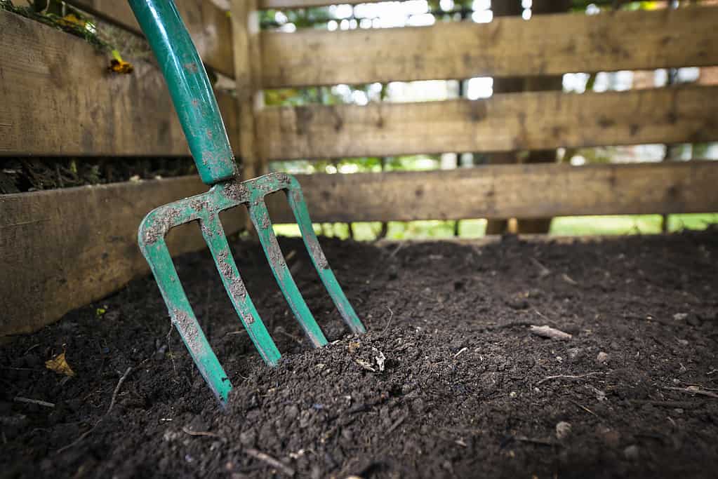 Forchetta da giardino verde, in metallo, a quattro punte che trasforma il terreno compostato in nero in un bidone di compostaggio in legno