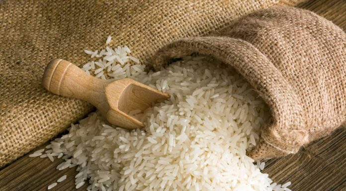 Come coltivare il riso: la tua guida completa
