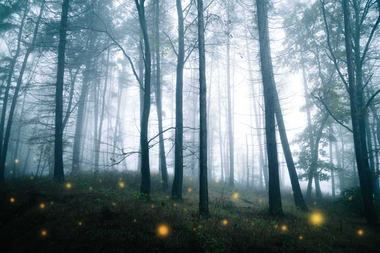 Mistica foresta oscura con scintille incandescenti sul suolo della foresta