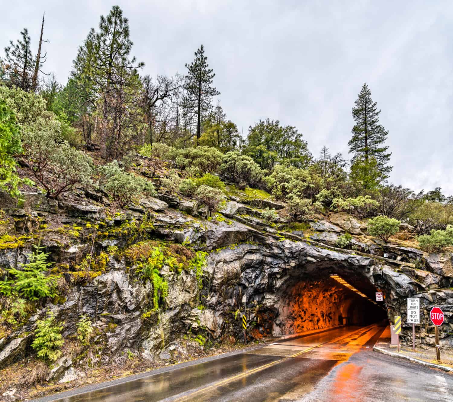 Il Wawona Tunnel nel Parco Nazionale di Yosemite - California, Stati Uniti