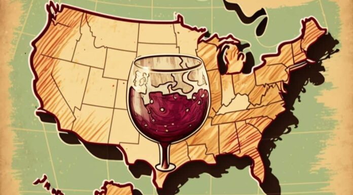 Produzione di vino negli Stati Uniti per stato: dove si colloca il tuo stato?
