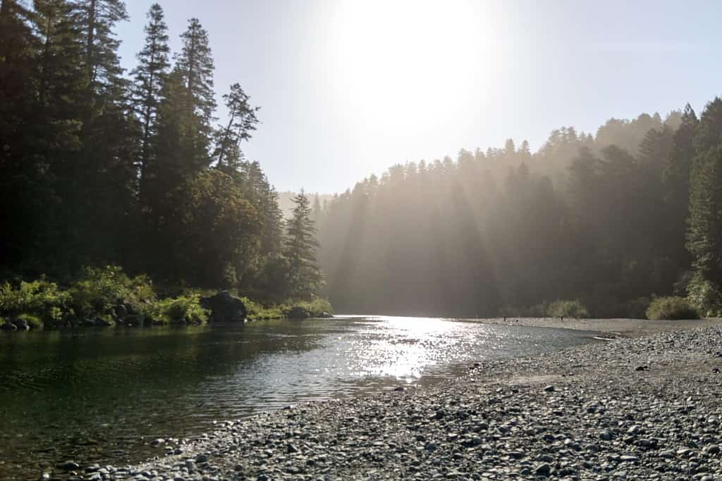Raggi di sole sul fiume Smith al Parco nazionale di Redwood in California