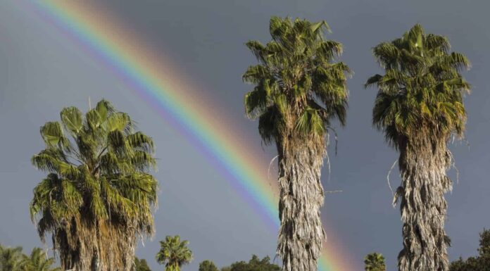 Scopri il luogo più piovoso della California
