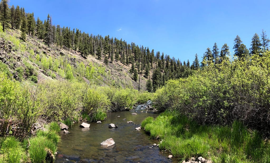 Natura - Il Black River nelle White Mountains dell'Arizona.