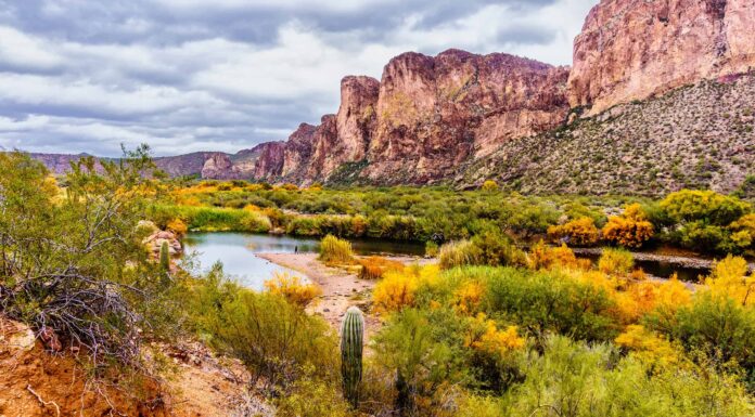 Scopri i 3 migliori fiumi in Arizona per la pesca a mosca (località di spigole e trote)
