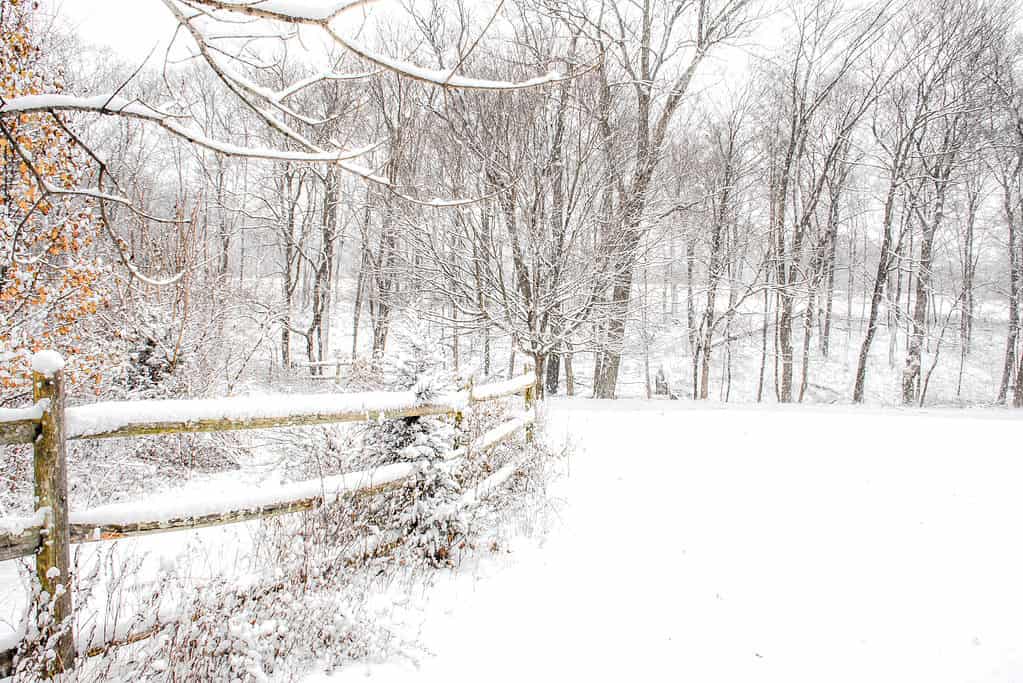 Inverno della Pennsylvania