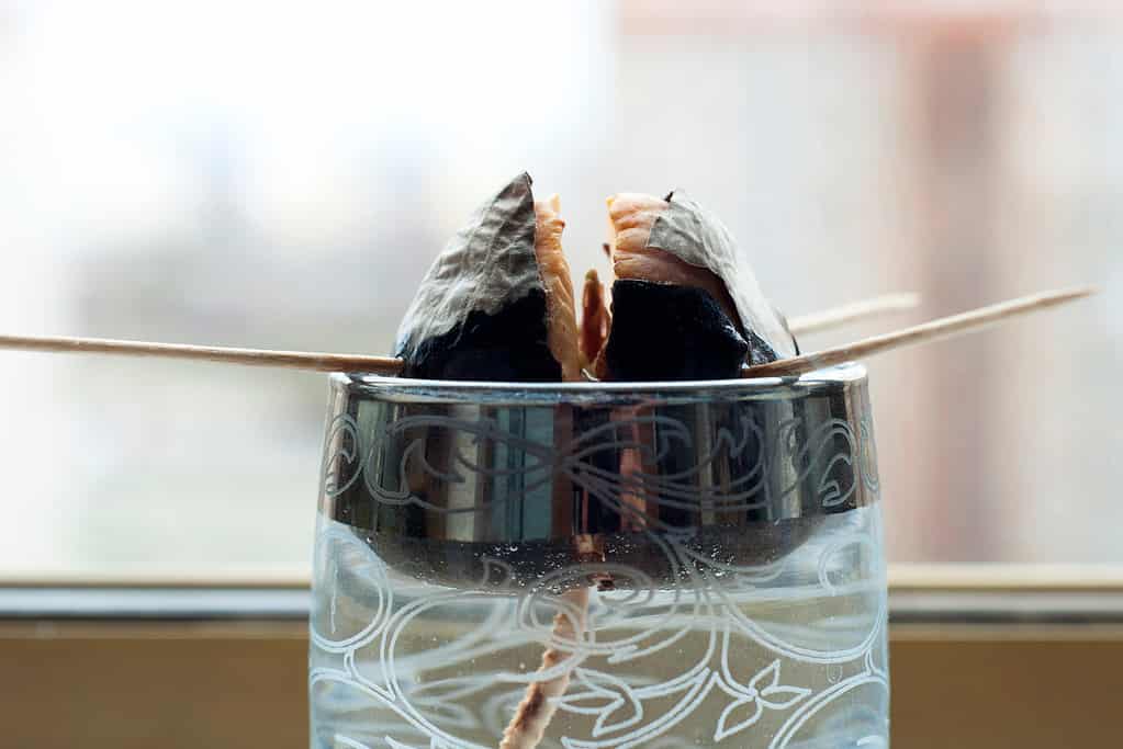 Primo piano di un nocciolo di avocado germogliato in un bicchiere trasparente che contiene acqua.  L'olio è supportato da stuzzicadenti.  Le radici bianche sono visibili nell'acqua.